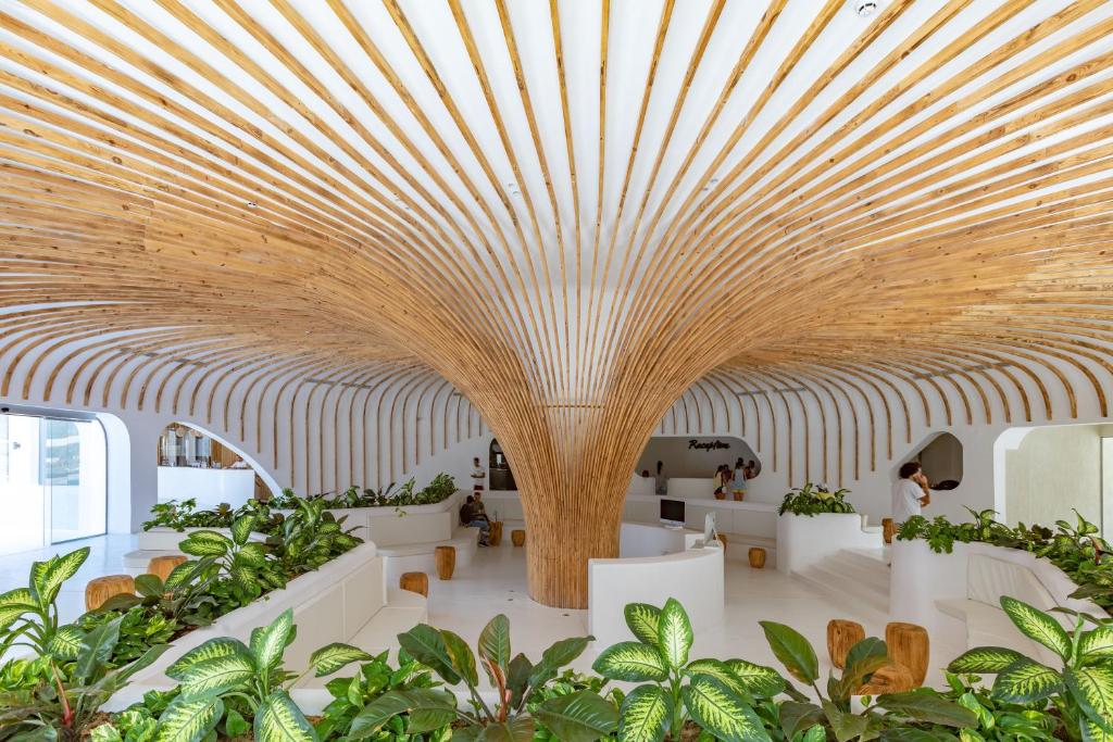 Meraki Resort moderna recepcija ar koka konstrukcijām un augiem