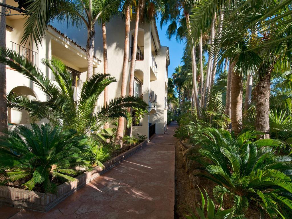 Pastaiga pa zaļu, palmām apaugušu aleju, kas ved pie ēkām ar baltām sienām un terasēm. Saulaina atmosfēra un tropiska vide rada atpūtas sajūtu.