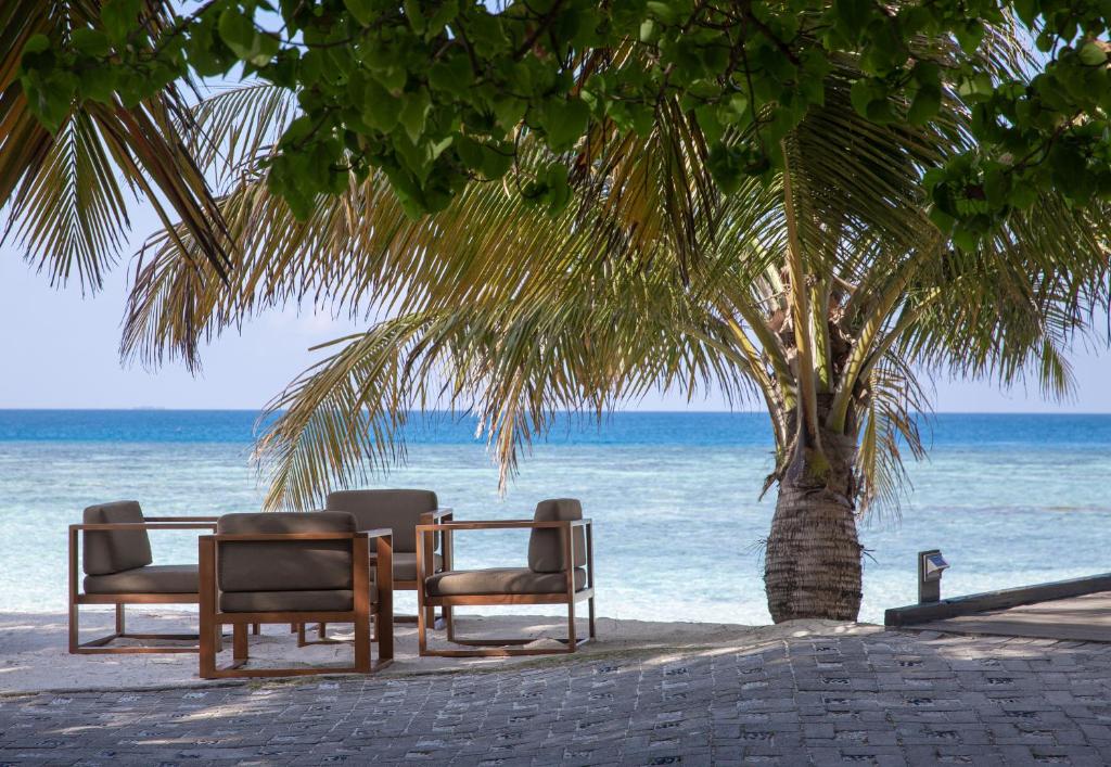 Pludmales krēsli ar skatu uz jūru un palmu. Ideāla vieta relaksācijai un atpūtai pie ūdens.