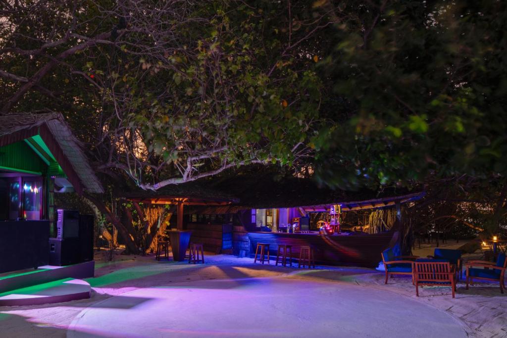 Nakts ainava ar tropu kokiem un apgaismotu bāru, kas atrodas pludmalē. Koka krēsli un galdi pie bāra rada relaksējošu atmosfēru.