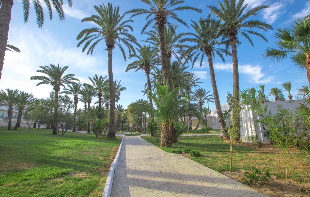 Zaļš parks ar palmām un bruģētu taku, kas ved cauri ainavai. Skats uz zilo debesu fona un ēku malām.