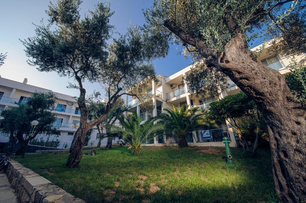 Zaļš dārzs ar olīvkokiem un palmu, kas atrodas blakus modernai ēkai ar balkoniem. Ideāla vieta atpūtai un relaksācijai.