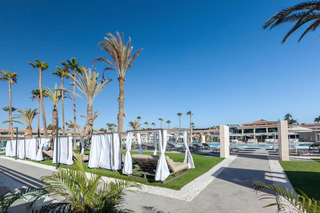 Luksusa atpūtas zona ar palmām un sauļošanās gultām, kas izvietotas pie baseina zem skaidra zila debesīm.
