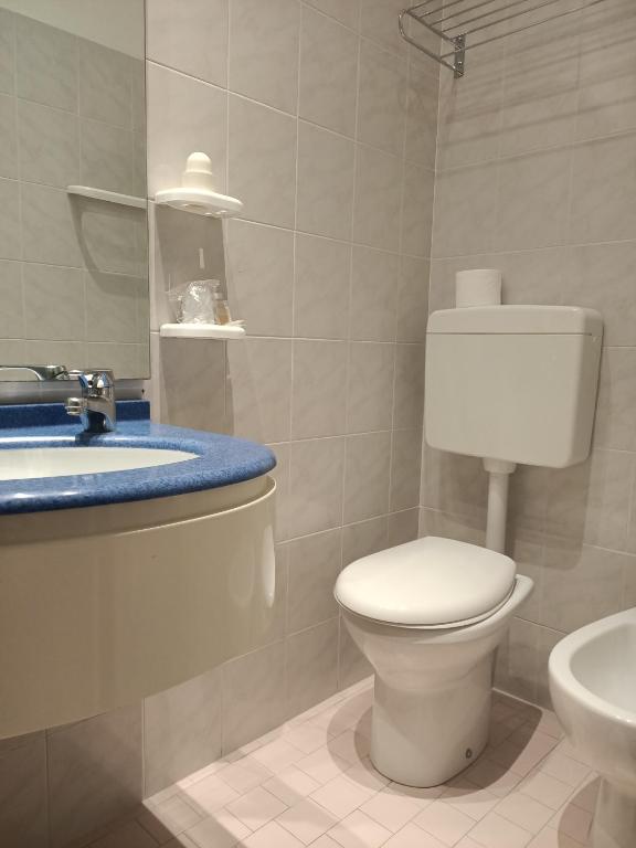 Mūsdienīgs vannas istabas interjers ar pelēkām flīzēm, izlietni ar zilu virsmu un tualeti. Redzams spogulis un plaukti, kas nodrošina vietu tualetes piederumiem.