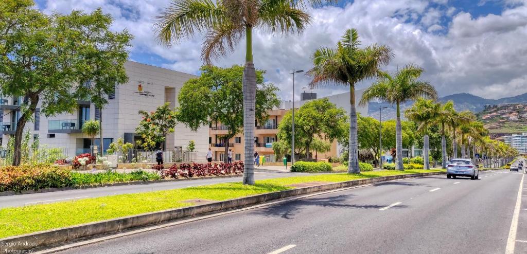 Mūsdienīga ēka ar zaļām palmu rindām un plašu ceļu, kas ved gar tās priekšu. Skats uz pilsētas ainavu ar debesīm, kurās redzami mākoņi.