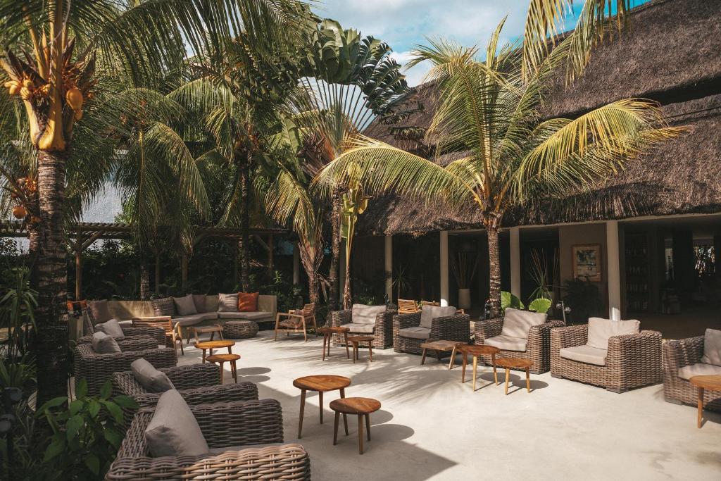 Tropiskā atpūtas zona ar ērtām rotangpalmas mēbelēm un palmām, kas rada relaksējošu atmosfēru. Ideāla vieta, kur baudīt dabu un atpūtu.