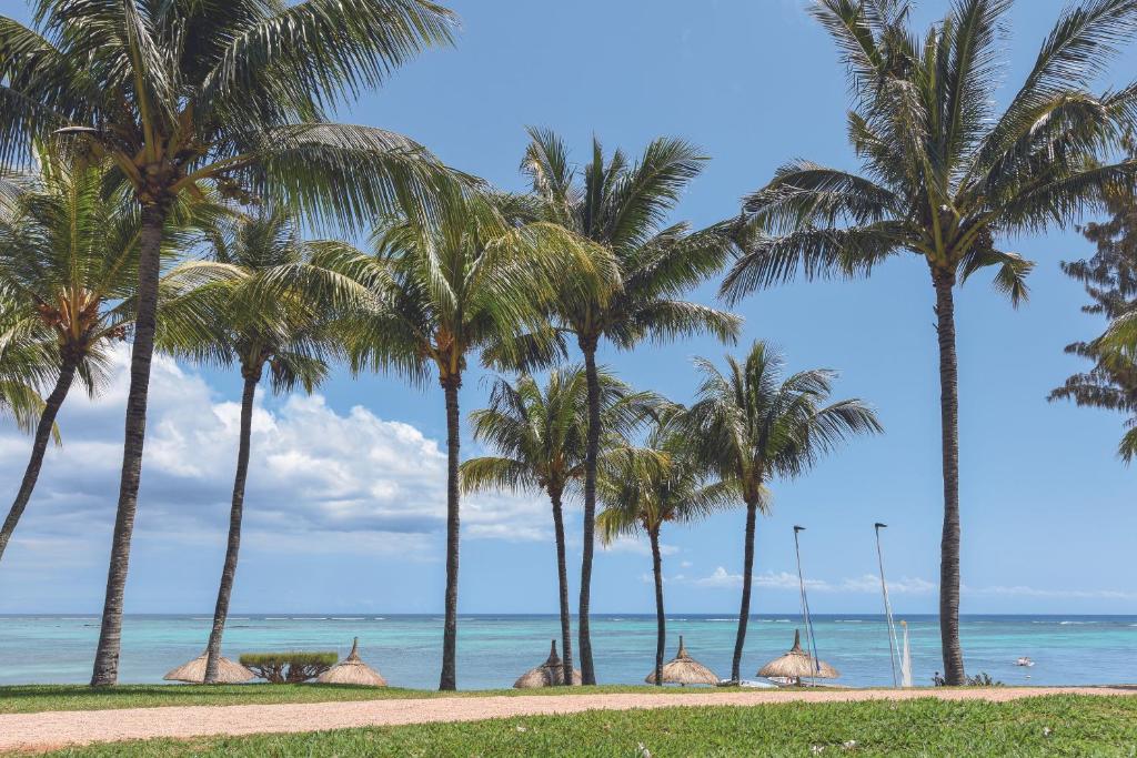 Tropu ainava ar palmām un skatu uz jūru, kas rada mierīgu un atpūtu veicinošu atmosfēru. Ideāla vieta atpūtai un relaksācijai.