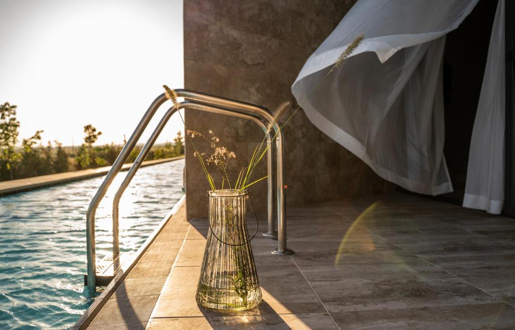 Vāze ar zālēm blakus baseinam, saulrieta gaismā, ar plīvuru, kas lēnām plūst.