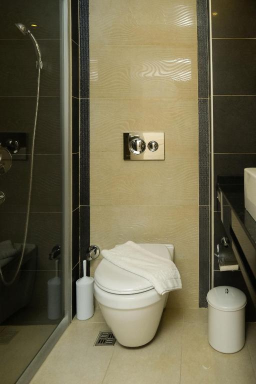Mūsdienīgs vannasistabas interjers ar tualeti, dušu un elegantu dizainu. Sienas apšuvums un higiēnas piederumi piešķir telpai stilīgu izskatu.