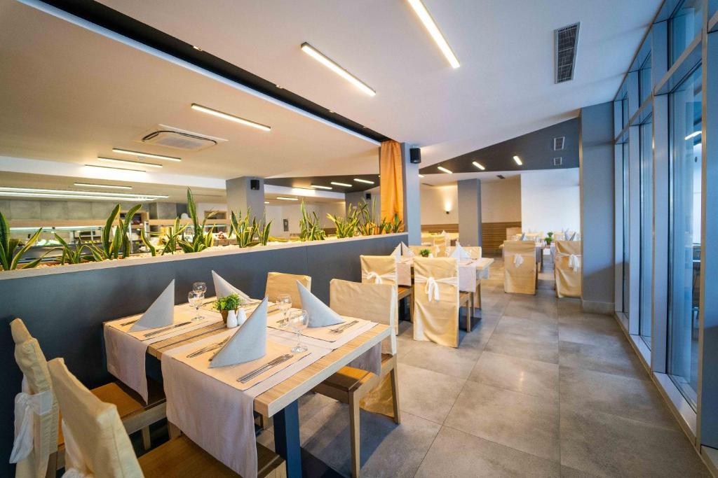 Mūsdienīga restorāna interjers ar eleganti klātiem galdiem, zaļumiem un gaišu apgaismojumu. Ideāla vieta relaksējošām maltītēm un sociālām sanākšanām.