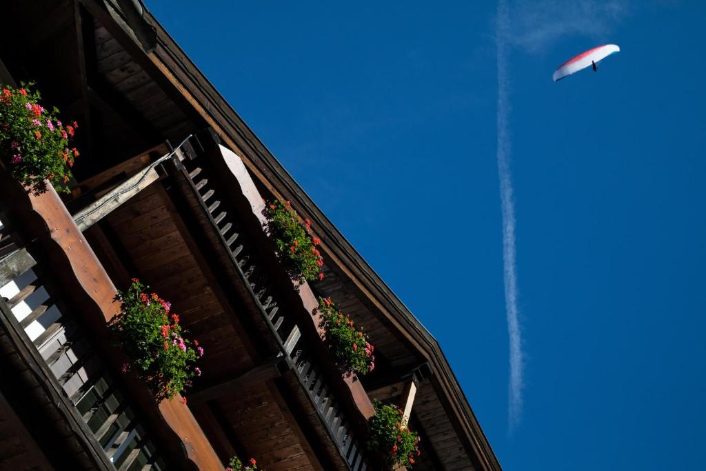 Liels koks ar ziediem uz balkona un parapeta, virs kura redzams paraplāns, kas lido zilā debesīs.