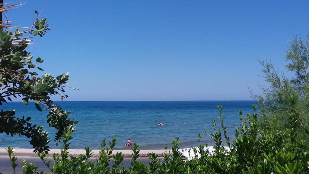 Skaists skats uz pludmali ar zilu jūru un saulainu debesi, kurā cilvēki izbauda ūdens priekus. Dabas zaļumi rāda mierīgu un relaksējošu atmosfēru.