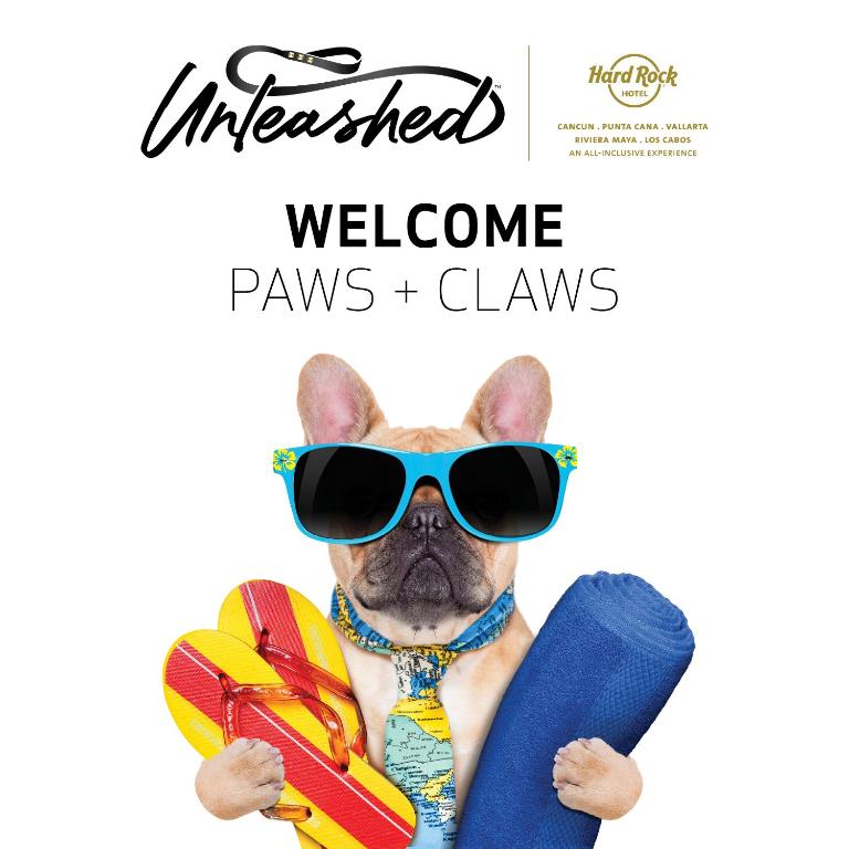 Suns ar saulesbrillēm un pludmales piederumiem, Hard Rock Hotel Cancun