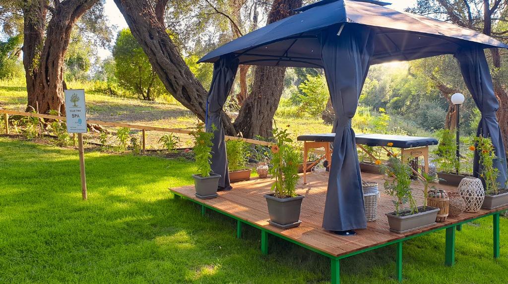 Spa telts ar masāžas galdu, apstādīta ar zālēm un dekoratīviem podiem, atrodas zaļā dārzā zem kokiem.