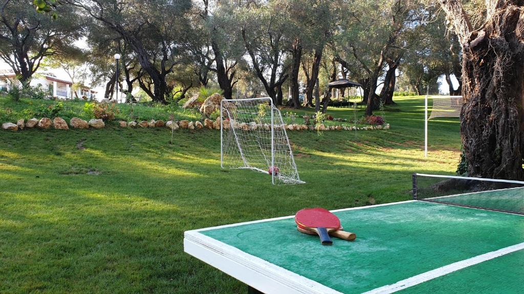 Tenisa galda un futbola vārti ainaviskā vidē ar kokiem un zālienu. Ideāla vieta sportiskām aktivitātēm un atpūtai.