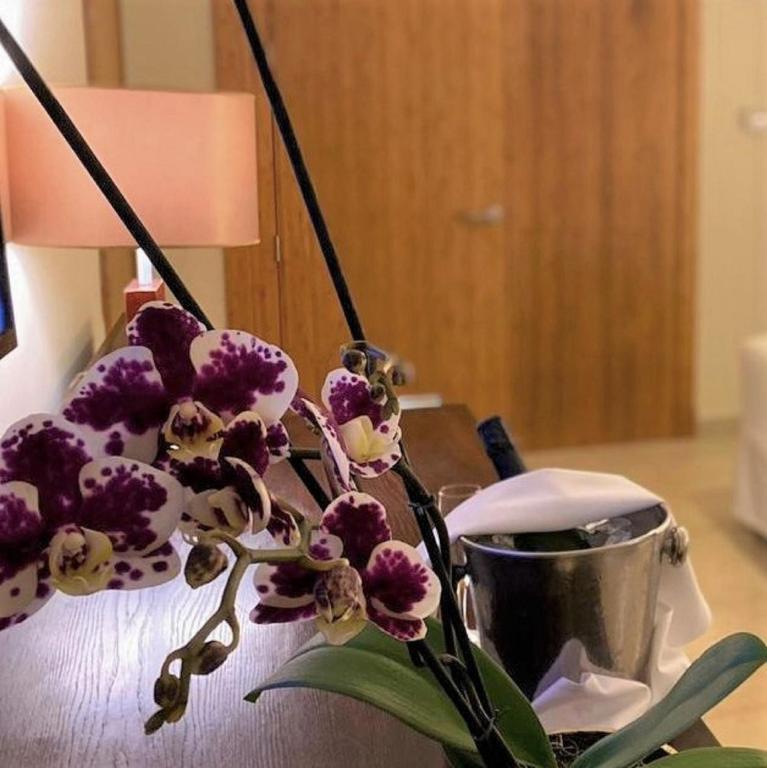 Orhidejas ziedi ar purpura un baltām krāsām, novietoti uz koka galda, blakus vīna dzesētājam un lampai. Interjers izstaro eleganci un viesmīlību.