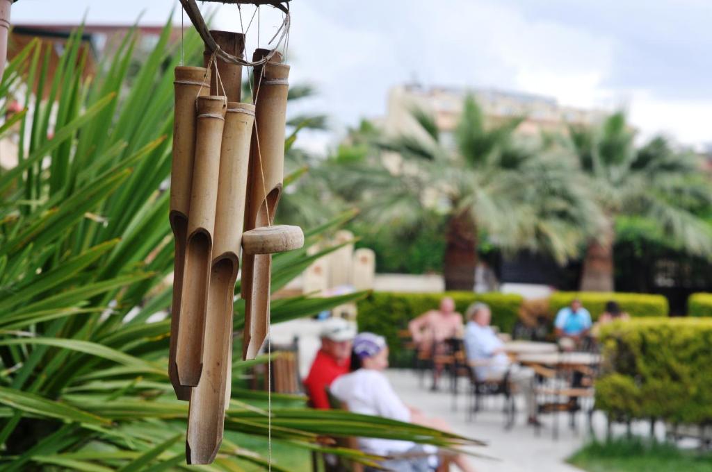 Bambusa zvani pie Camyuva Beach Hotel dārzā, apkārt palmām.
