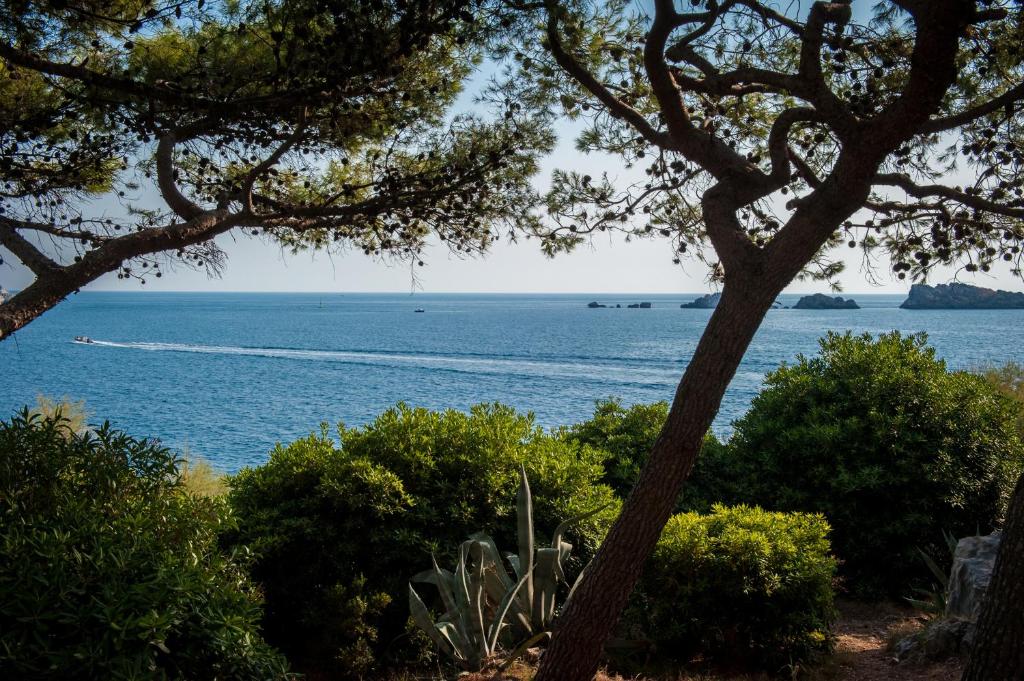 Skats uz jūru caur kokiem, ar laivu, kas kustas pa ūdeni, un zaļajiem krūmiem krastā.