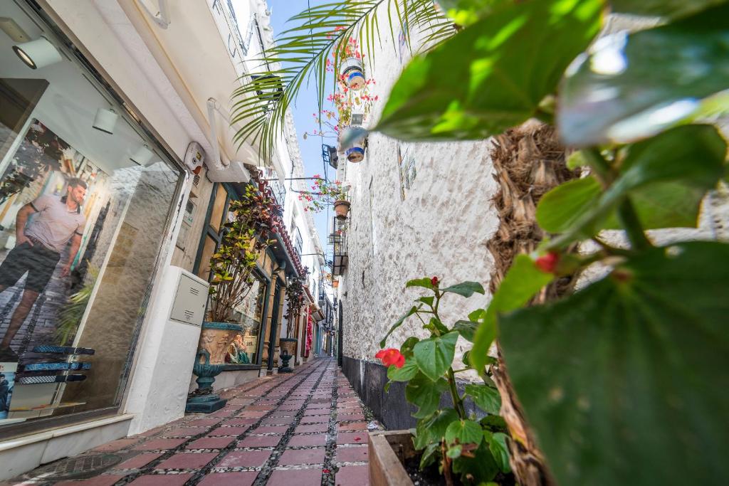 Šaurs, saulains ieliņš ar ziediem un augiem, kas rotā māju sienas. Skats uz veikalu ar izstādītām preču reklāmām un dekoratīvām lampām.