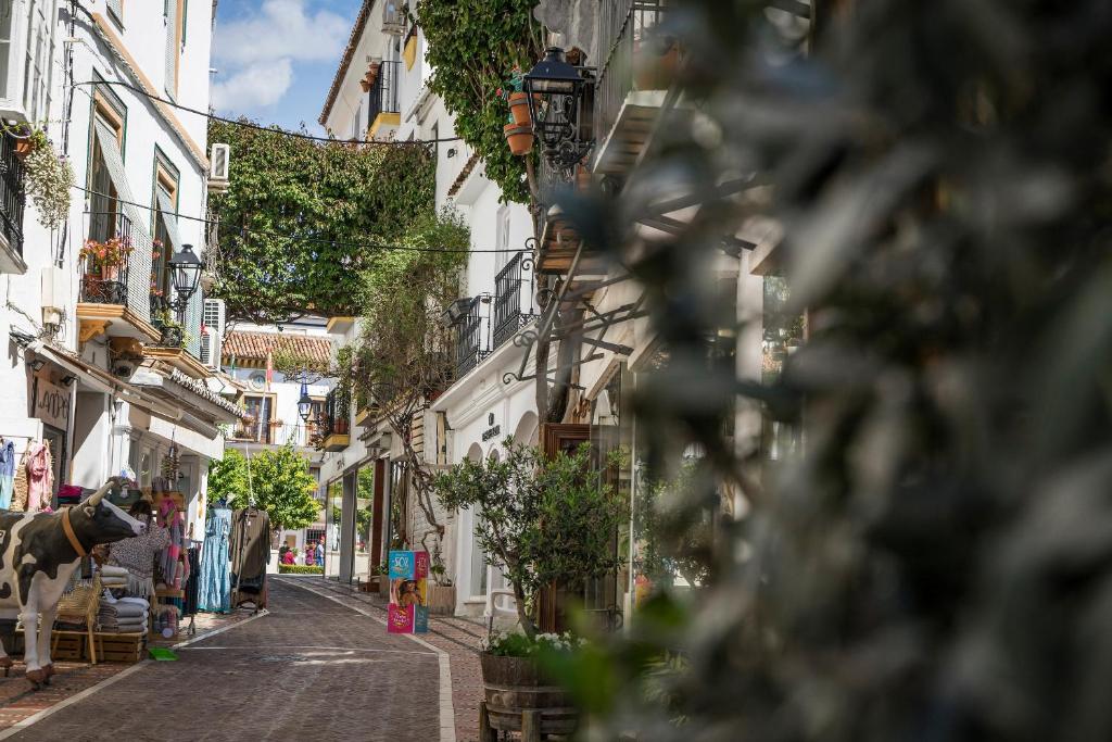 Šaura iela ar baltiem māju fasādēm, kurā redzami veikali un dārza dekorācijas. Pieminēta arī lielā koka govs, kas piešķir šarmu šai ainai.