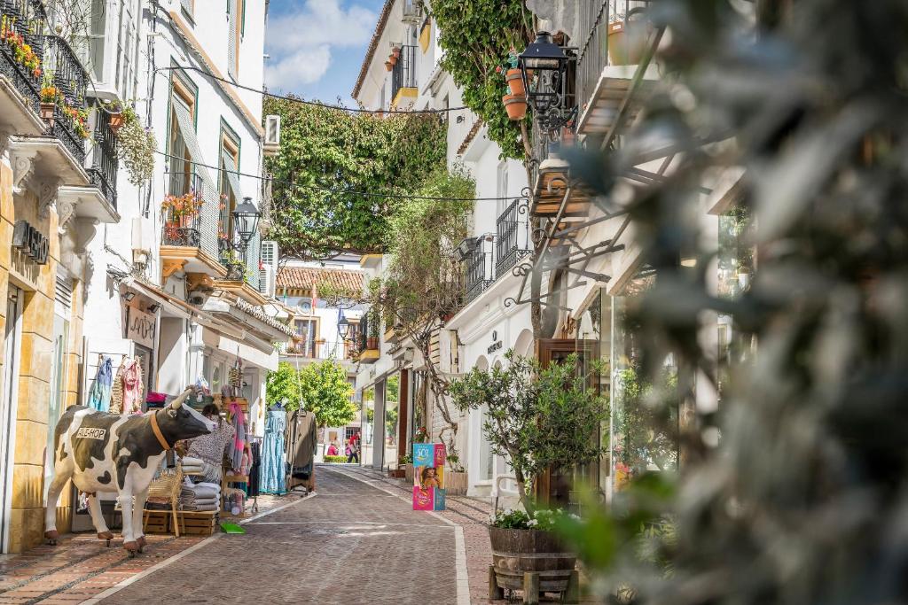 Šaurs, saulains ieliņš ar baltiem mājokļiem, zaļiem augiem un dekoratīvām lampām, kurā redzama statuja ar govs attēlu un veikali, kas piedāvā apģērbus un aksesuārus.
