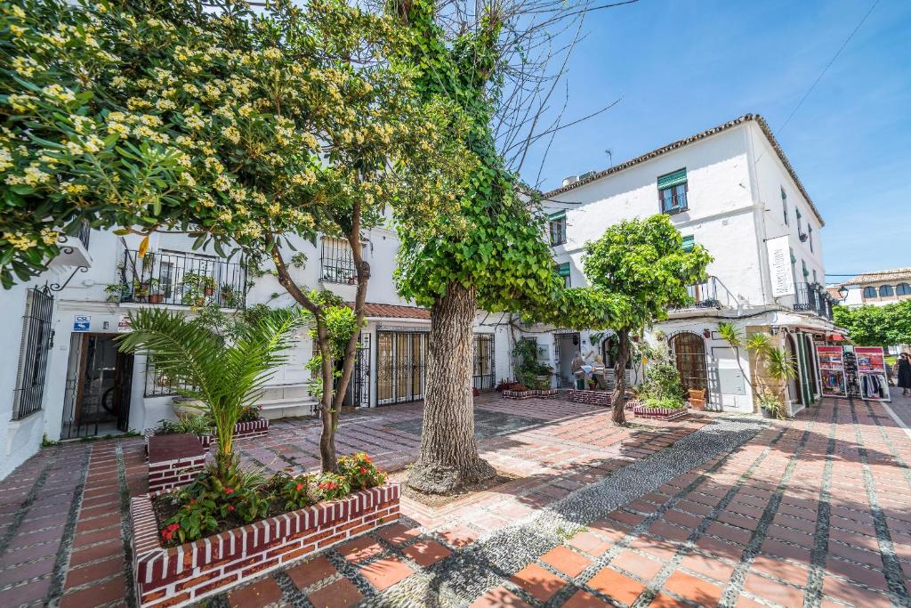 Vēsturiska pilsētiņa ar baltām ēkām un ziedošiem kokiem, kas veido skaistu laukumu ar bruģakmens segumu. Šī vieta ir ideāla pastaigām un atpūtai.