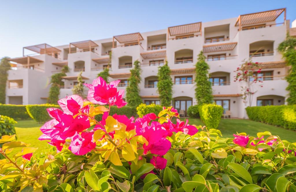 Fort Arabesque Resort, Spa & Villas ar ziediem un dārzu