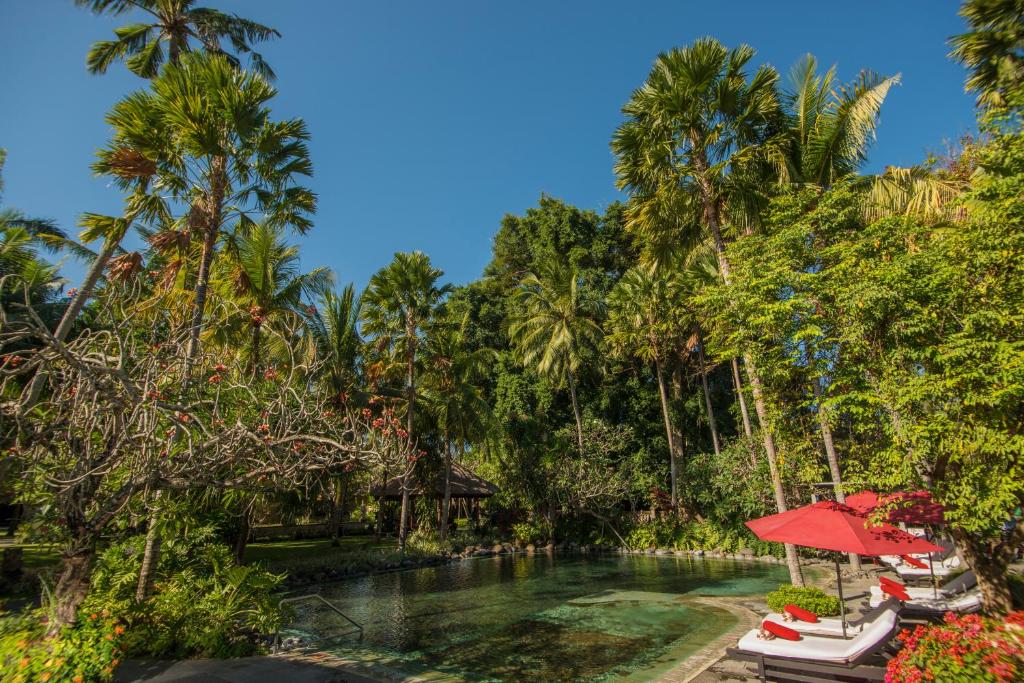 Tropu ainava ar palmām un sulīgu veģetāciju, pie peldbaseina ar sarkanām saulessargiem. Ideāla vieta relaksācijai un atpūtai.