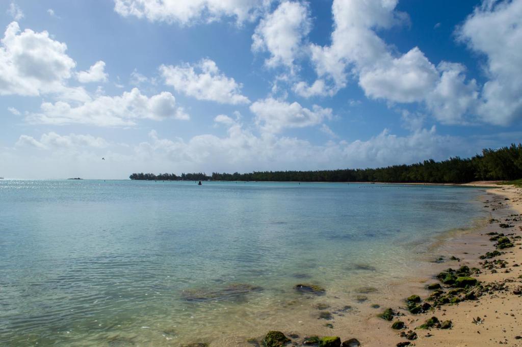 Pludmale pie Flowers of Paradise viesnīcas ar skaidrām debesīm.
