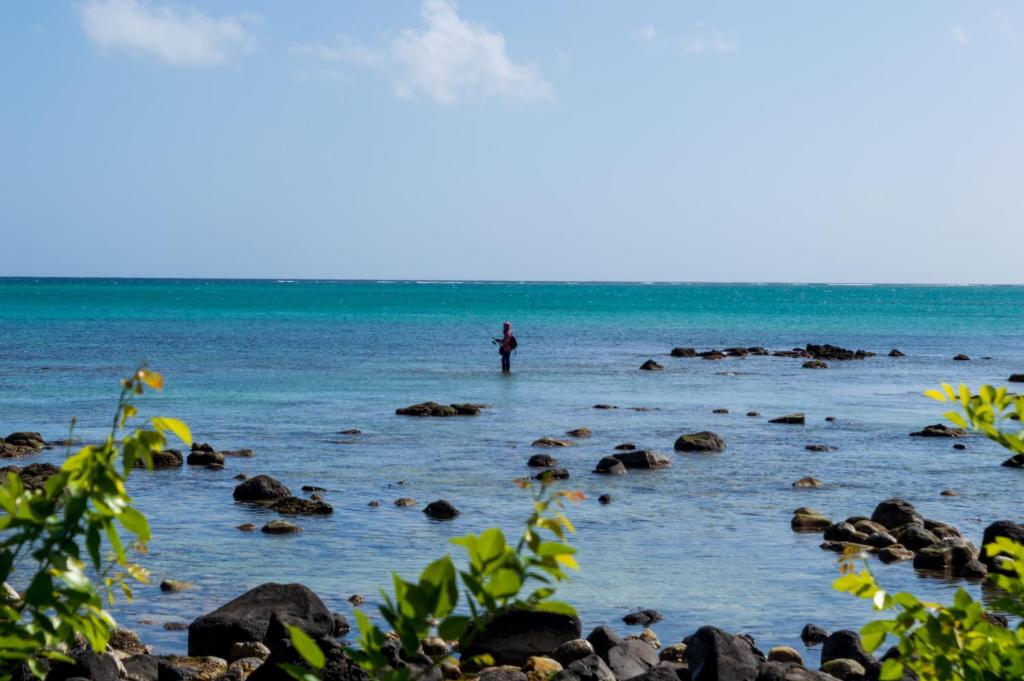 Pludmale ar skaidru ūdeni pie Flowers of Paradise viesnīcas