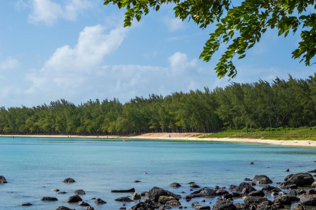 Tropiskā pludmale pie Flowers of Paradise viesnīcas.