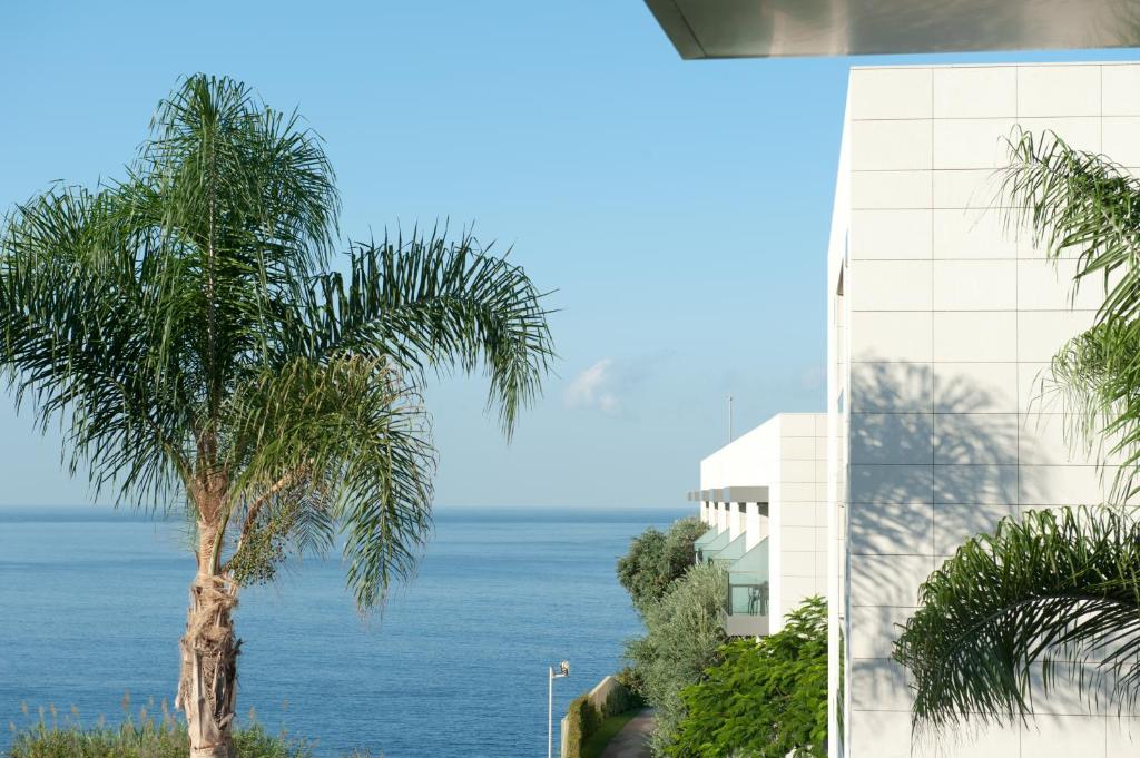Skats uz jūru no modernas ēkas ar palmu koku priekšplānā, radot mierīgu un relaksējošu atmosfēru.