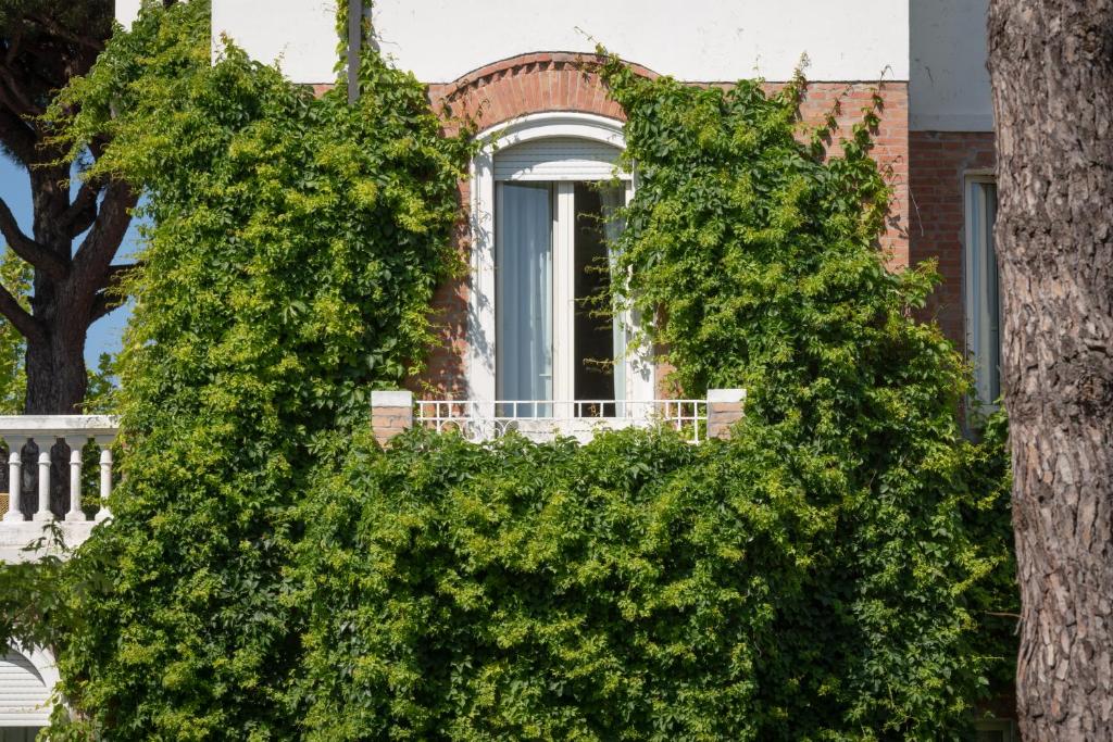 Mājas fasāde ar logu, ko pārklāj sulīgi zaļi kāpjošie augi, radot dabisku un pievilcīgu izskatu. Loga balustrāde piešķir arhitektūras akcentu.