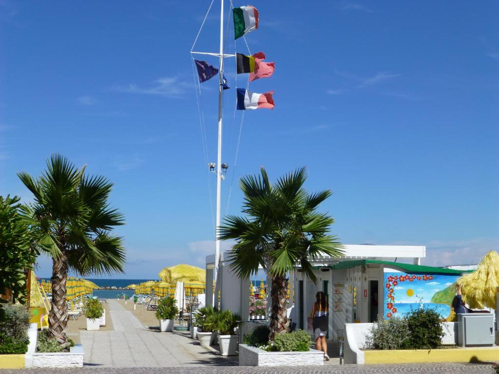 Pludmales ainava ar palmu kokiem un karogiem, kas plīvo virs pludmales, kur redzami sauļošanās krēsli un saulessargi. Aiz pludmales ir skaidrs debesis un mierīgs jūras skats.