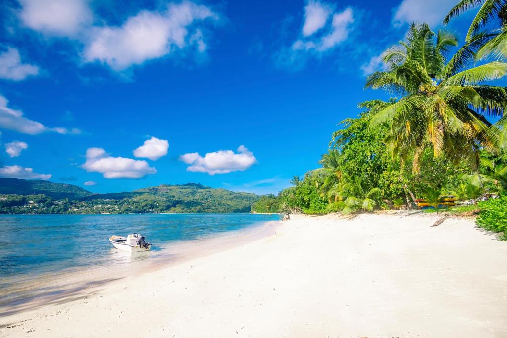 Tropu pludmale ar baltu smilšu, zilu ūdeni un palmām, kas sniedzē ēnu. Priekšplānā redzama laiva, kas piestājusi pie krasta.