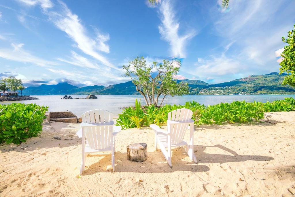 Piekrasains pludmales skats ar baltām krēsliem, kas novietoti smiltīs, un mierīgu jūru fonā. Zilās debesis un zaļie augi papildina šī idilliskā brīvdienu galamērķa atmosfēru.