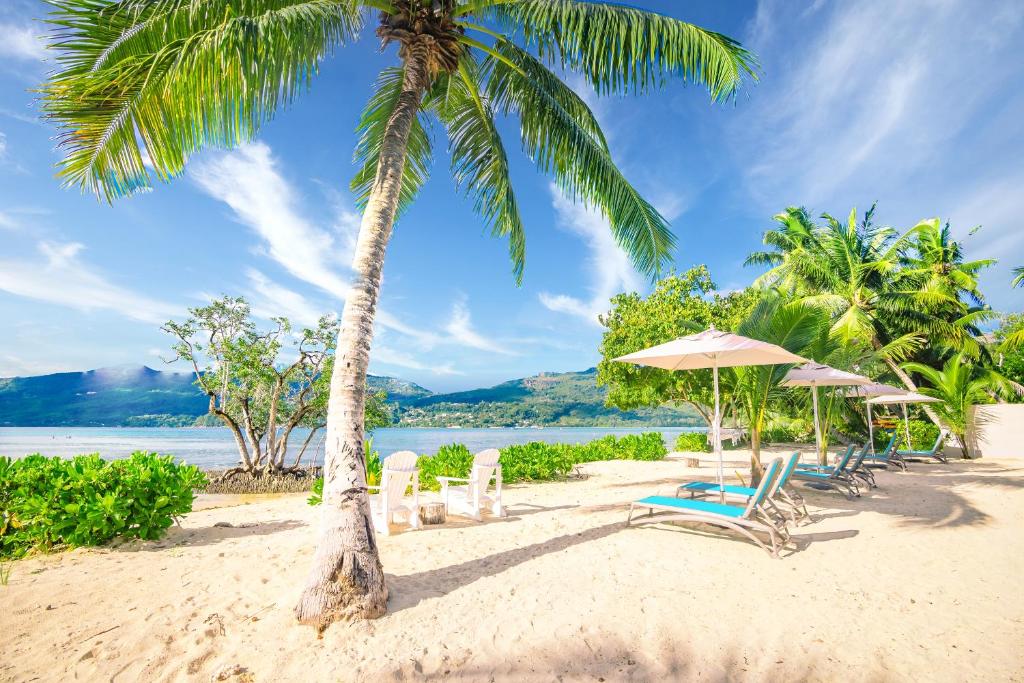 Tropu pludmale ar palmām un saulessargiem, kur sēžamvietas ir novietotas smiltīs, fons ar kalniem un zilu debesi. Ideāla vieta atpūtai un relaksācijai.