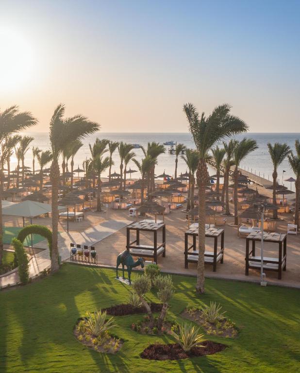 Albatros Palace Resort pludmales skats ar palmām un sauļošanās gultām piekrastē.