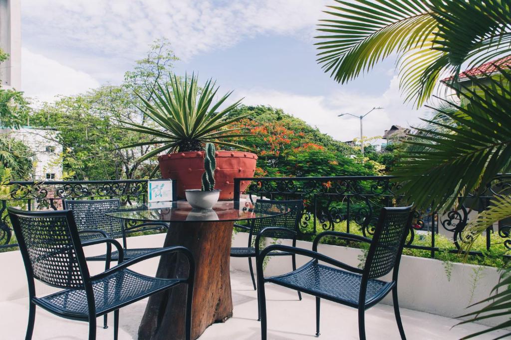 Terase ar melnām krēslām un apaļu koka galdu, ap kuru redzami cacti un sulīgas augu kompozīcijas. Fons izceļ zaļu dabu un zilo debesu ainavu.