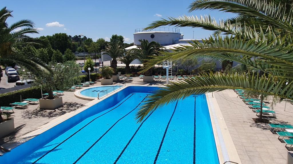 Liela peldbaseina ar skaidru zilo ūdeni un palmām apkārt, atpūtas krēsli gar malām un saulaina debess fona.