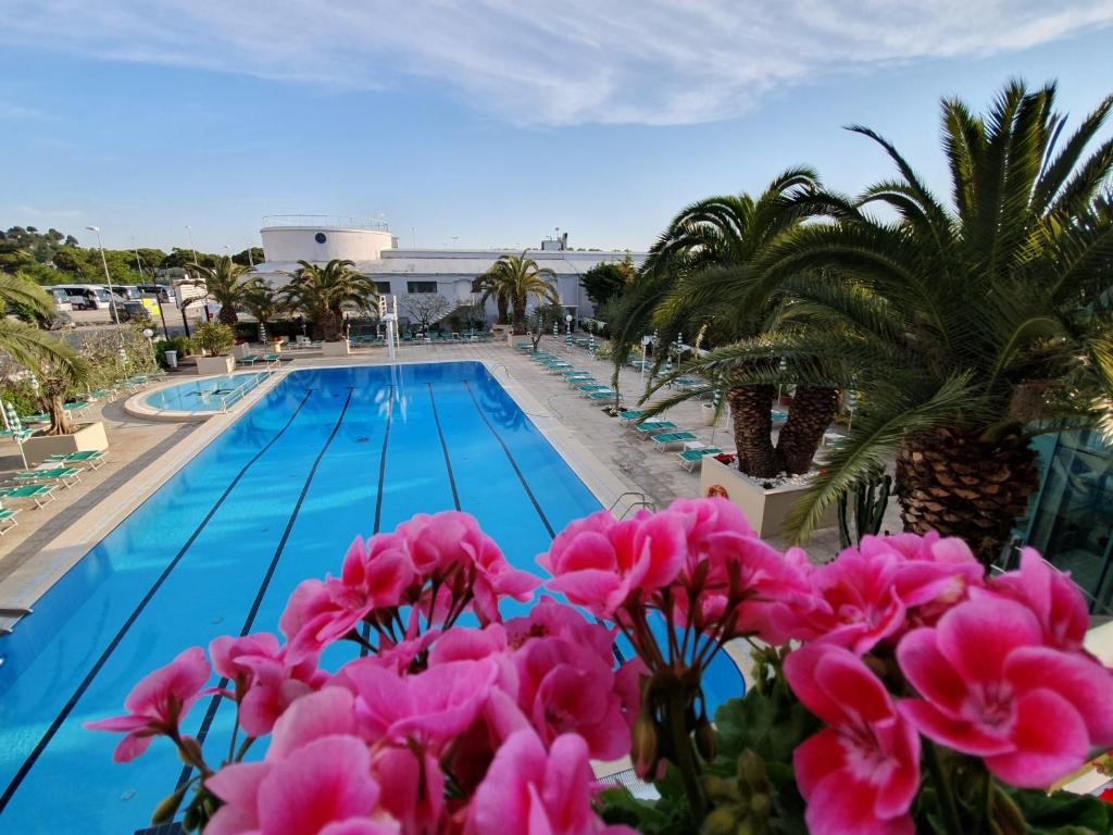 Baseins ar spilgti zilu ūdeni, ko ieskauj palmas un ziedi, radot relaksējošu atmosfēru. Ideāla vieta atpūtai un atpūtas brīžiem.