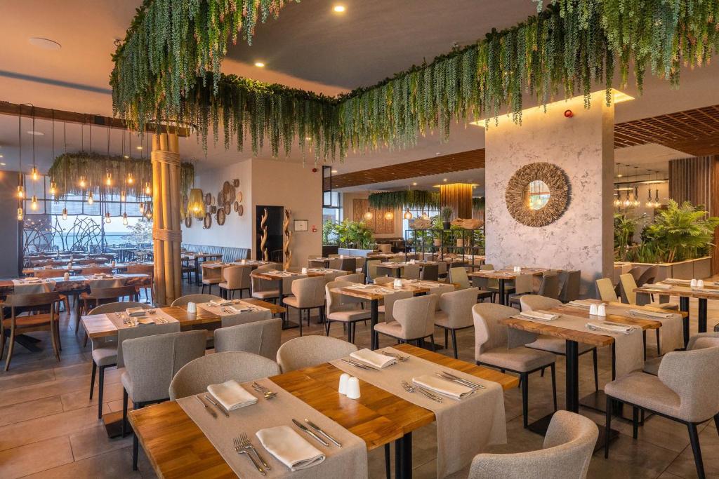 Mūsdienīgs restorāns ar elegantu interjeru, kas iekārtots ar zaļām augu dekorācijām un siltu apgaismojumu, radot patīkamu atmosfēru. Viegli un stilīgi galdi ar ērtām krēslām.