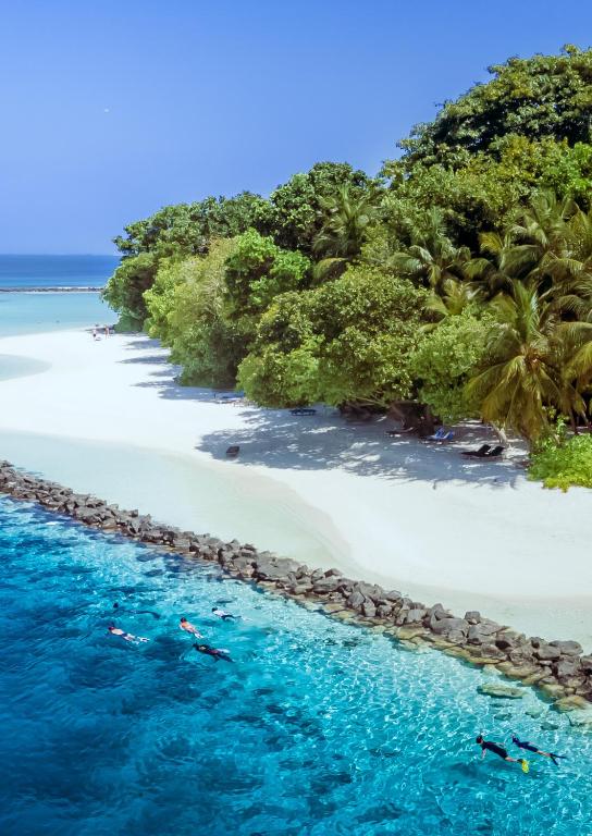 Tropu pludmale ar balto smilšu un dzidru zilu ūdeni, kur cilvēki nodarbojas ar snorkelēšanu, galvenie elementu ir krāšņi koki un mierīga atmosfēra.