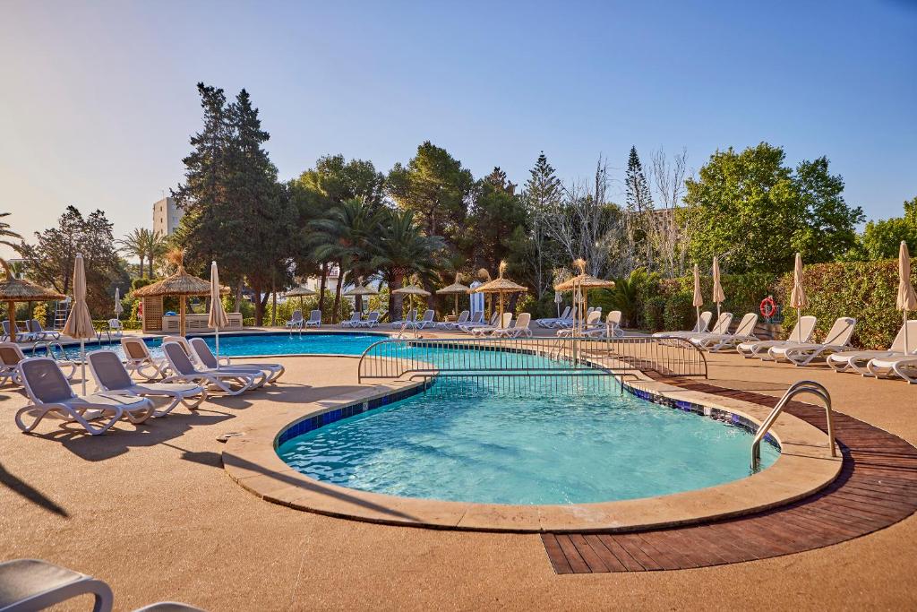 Peldbaseins ar saules krēsliem un palmu koku fonā, ideāls atpūtai un relaksācijai. Mierīga atmosfēra un skaidrs debesu laiks.