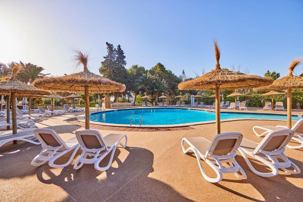 Peldbaseins ar saules krēsliem un salmiem pārklātiem jumtiem, ieskauts zaļo palmām un skaidrām debesīm. Ideāla vieta atpūtai un relaksācijai.