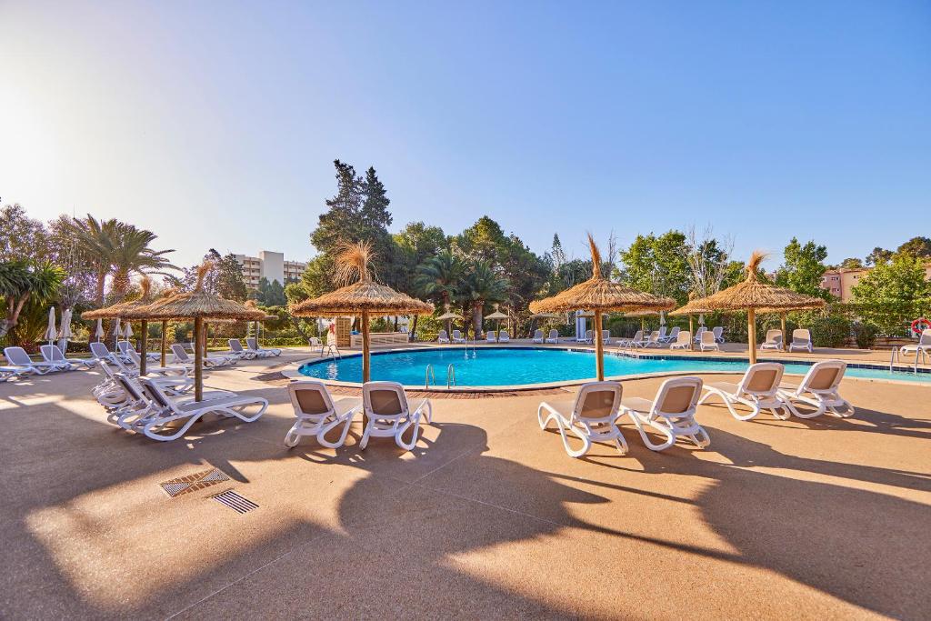 Baseins ar sauļošanās krēsliem un lietussargiem, apkārt zaļiem kokiem un saulainu debesīm. Ideāla vieta atpūtai un relaksācijai.