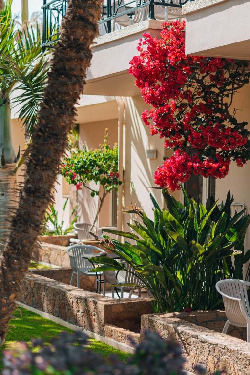 Krāsains ziedu dārzs ar rozā bougainvillea un zaļiem augiem pie viesnīcas terases, kurā redzami krēsli un galdi. Ideāla vieta relaksācijai un atpūtai.