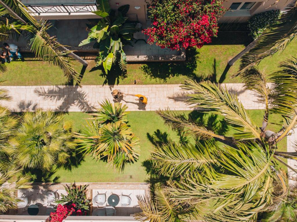 Zaļš dārzs ar palmām un ziediem, kur divi cilvēki pastaigājas pa bruģētu celiņu. Gaisa skats uz ainavu ar zālienu un dārzā izvietotām mēbelēm.