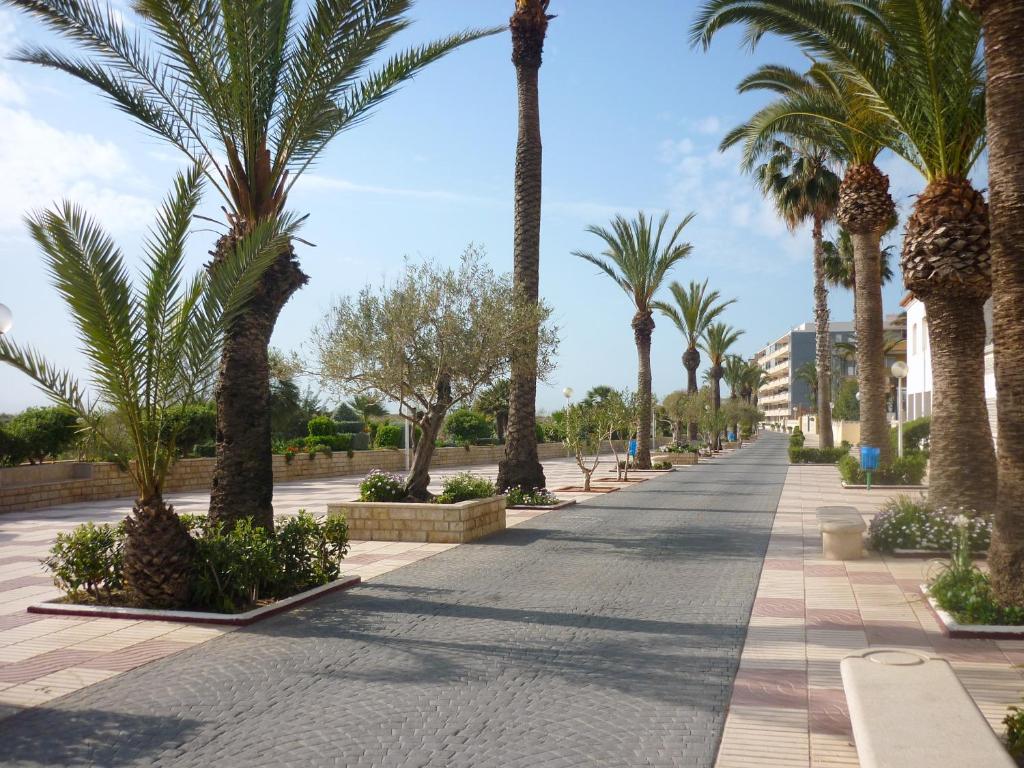 Pastaiga pa saulainu promenādi ar palmām un ziedošiem krūmiem, kas ved gar zaļiem stādījumiem un ēkām. Ideāla vieta atpūtai un relaksācijai.