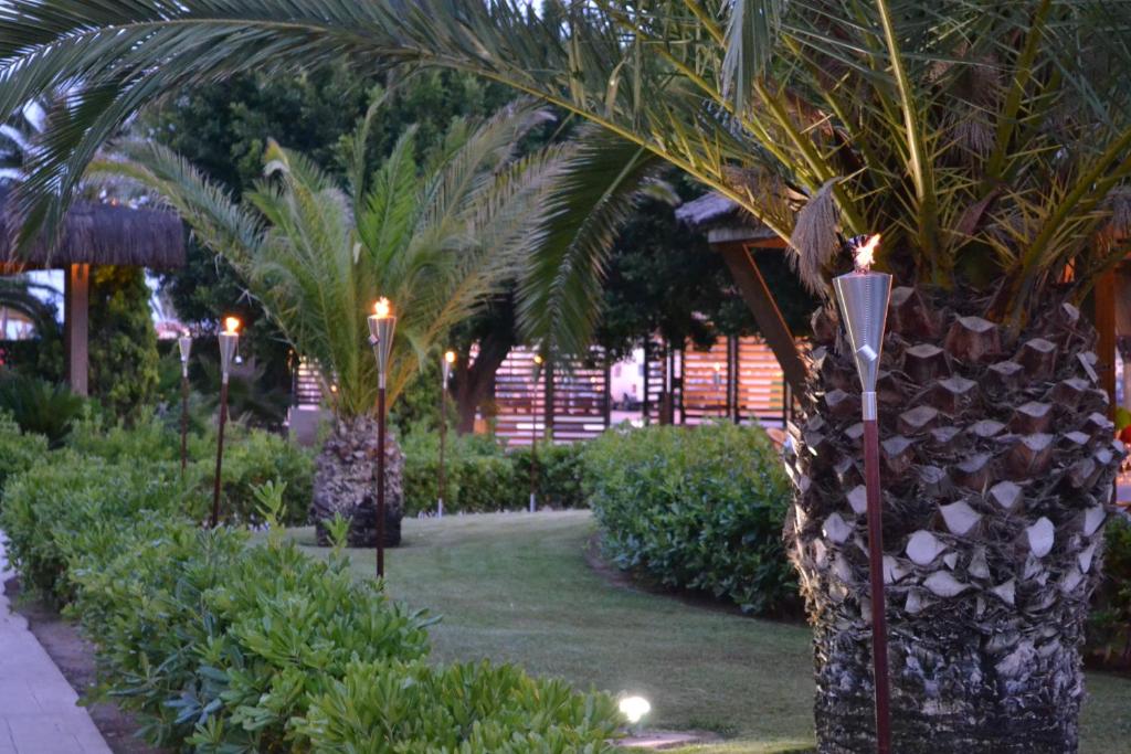 Skaists dārzs ar palmu kokiem un laternām, kas rada romantisku atmosfēru. Apgaismojums uzsver zaļo ainavu un dārza elementus.